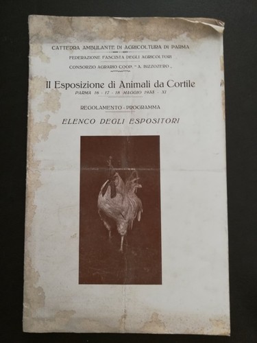 Esposizione animali cortile - ii,