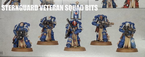 Warhammer 40k space marines - space,