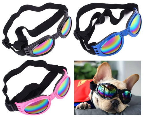 Occhiali sole per cani - sole,