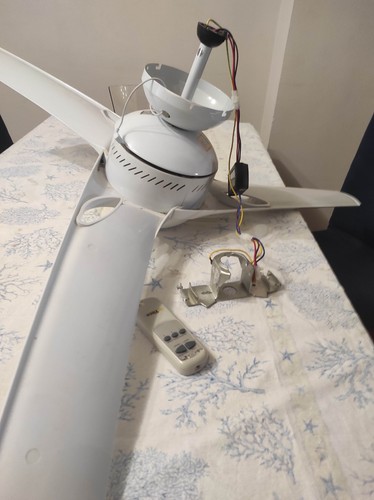 Ventilatore soffitto con - ventilatore,