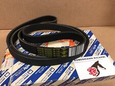 Cinghia Servizi *ORIGINALE*