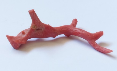 Raro ramo corallo - ramo, rosso
