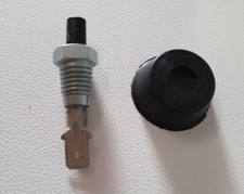 INTERRUTTORE  PORTA LUCE