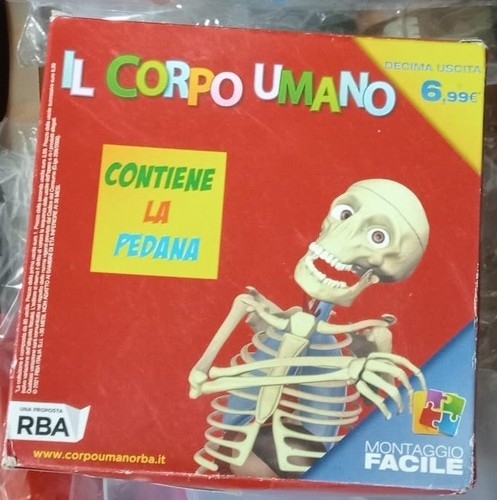 Corpo umano rba completo - il,