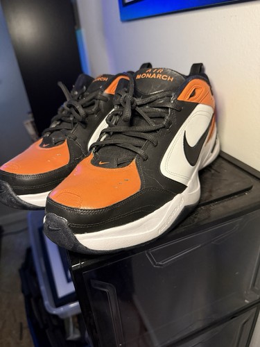 Air monarchs backboard rotto - monarchs,