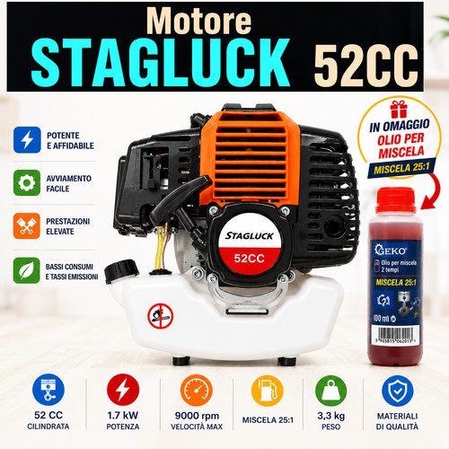 Motore stagluck tempi 1 7hp - 2,