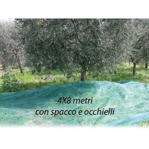 Rete per raccolta olive 4x8 - rete,