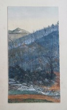 Quadro Carolina del Nord MT