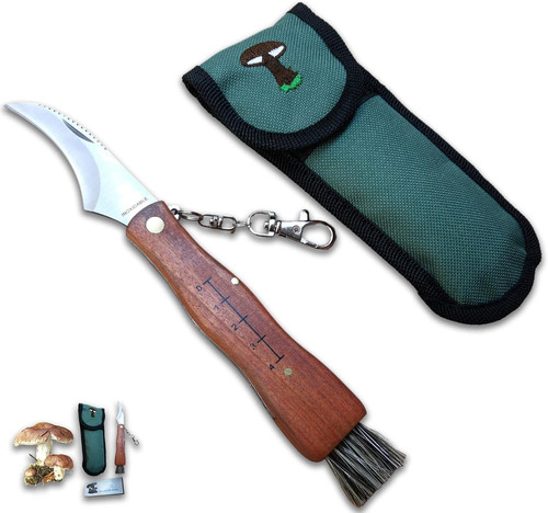 Coltello per funghi in - coltello, funghi,