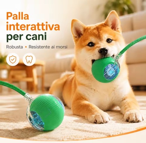 Palla interattiva per - interattiva, cani