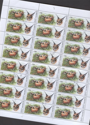 Foglio fauna j64 - fauna, animali