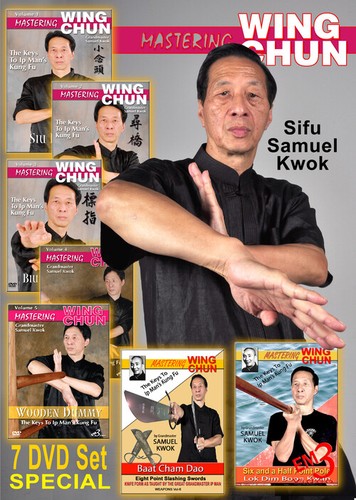 Mastering wing chun dvd - mastering, 7