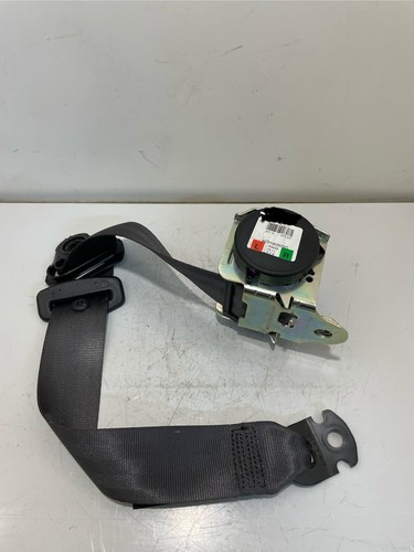 Cintura cinghia sicurezza - cinghia,