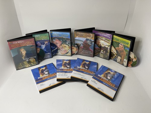 Complete dog training bundle - dog,