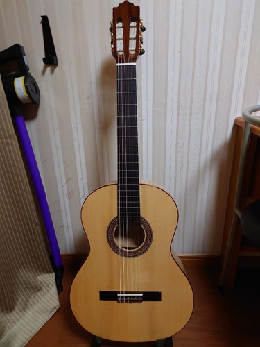 Classical acoustic guitar - acoustic,
