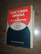 ΑΝΑΤΟΜΙΑ UMANA di G