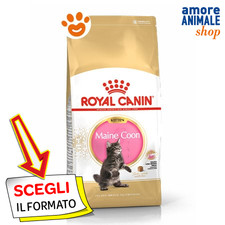 Royal Canin Cat FBN Kitten