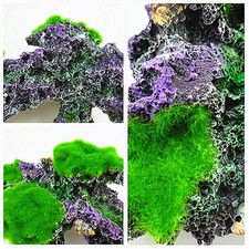  Piante Acquario Muschio Decorazione in Resina Del Serbatoio Pesce