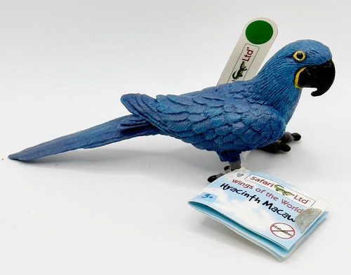 Hyacinth macaw wings - hyacinth, the
