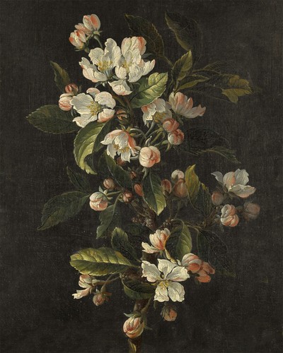 Quadro natura morta - , barocco