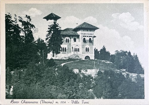 Cartolina antica bosco - antica,