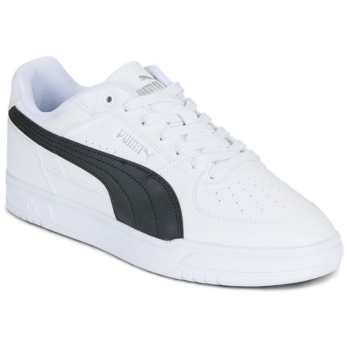 Puma caven - ,