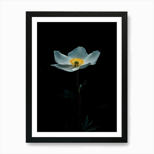 Quadro stampa tela poster - stampa, su