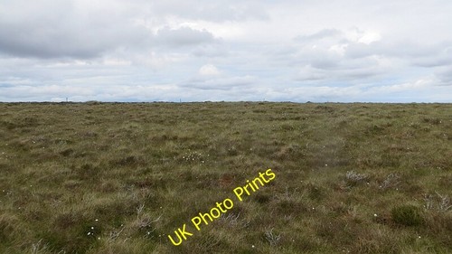 Photo 6x4 maize burton - photo,