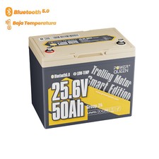Batteria LiFePO4 da 24V 50Ah