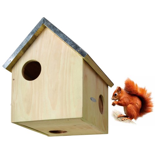 Nido scoiattolo casa kobel - scoiattolo,