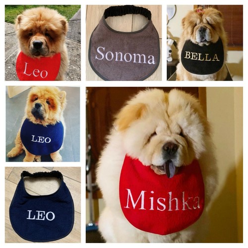 Chow slobber - slobber, /