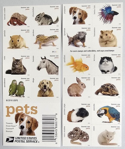 Nuovo libro pets di - libro,