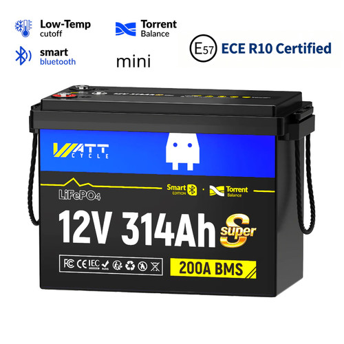 Batteria lifepo4 litio 12v - batteria,