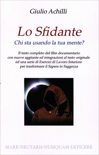 Libro sfidante chi - chi, sta