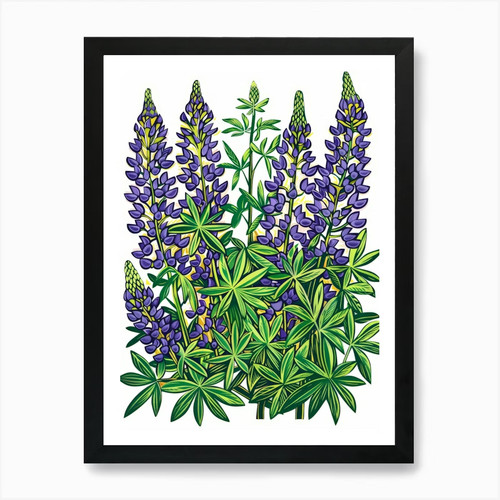 Lupine stampa artistica - 4,