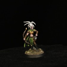 Pathfinder Miniatures Reaper