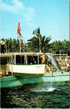 Spettacolare cartolina Jumping