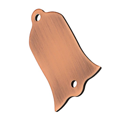 Truss rod cover accessori - truss,