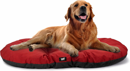 Cuccia cane relax - cuscino, per