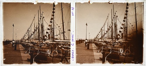 Fotografia stereo lastra - fotografia,