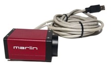 AVT Marlin F033C L1A--3.0