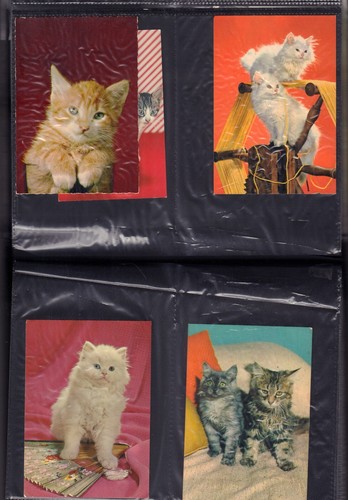 Lotto 114 cartoline - di,