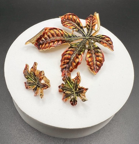 Set orecchini spilla/clip