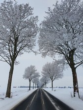 Istruzioni di Costruzione