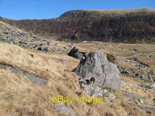 Photo 6x4 boulder strewn - photo, boulder-strewn