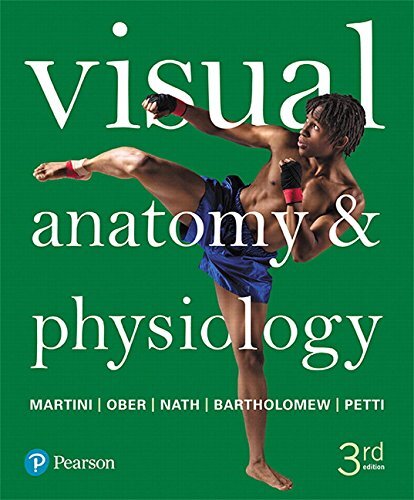 Visual anatomy physiology - visual,
