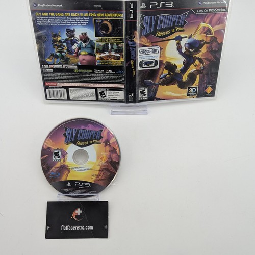 Sly cooper thieves time - thieves,