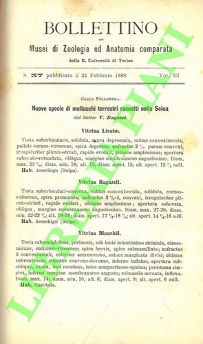 Pollonera carlo nuove specie - -,