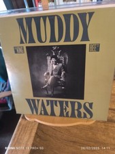 MUDDY WATERS "KING BEE" - LP