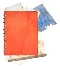 ps4 ps5 xbox pc big bloom